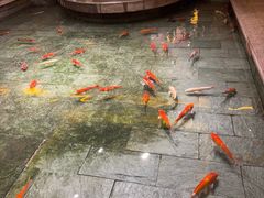 -惠食佳(滨江大公馆店)