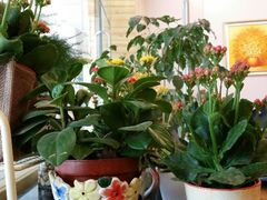 android_upload_pic-家琳甜品(江南东店)