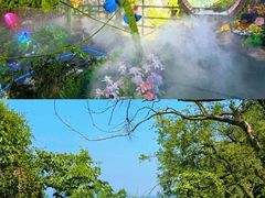 -荔江湾景区