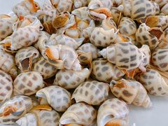 -双月饭店·20年老字号(新村店)