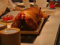 -帝企鹅自助餐厅•儿童岛•真企鹅(长隆企鹅酒店)