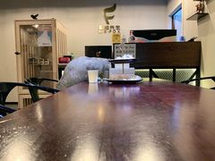 -Mr.Fox狐狸先生超级密室(南山店)