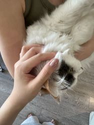-HUII NAIL绘京美甲美睫会馆