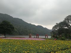 -广州市石门国家森林公园