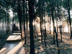 -北京十三陵国家森林公园蟒山景区