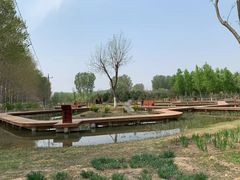 -东郊湿地公园