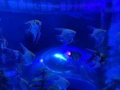 -梦幻海洋王国(吾悦广场张家港店)