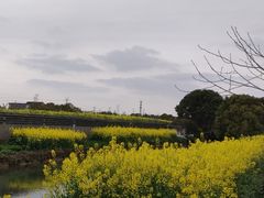 -不觉晓CAMPING(上海迪士尼营地店)