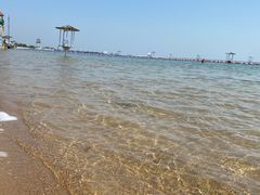 -碧海金沙
