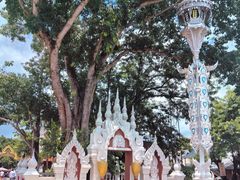 -西双版纳傣族园