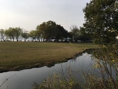 -闻莺馆(柳浪闻莺店)