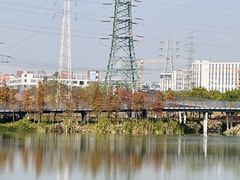 -王借岗森林公园