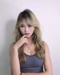 -YESIDO椰岛造型