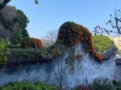 -乌山风景区