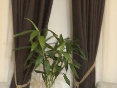 -浅深Cheersum(曹杨店)