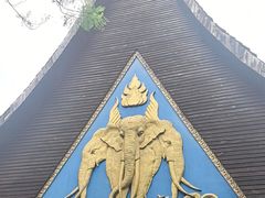 -野象谷景区