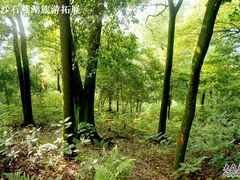 -石燕湖生态旅游景区