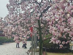 -浙江省博物馆(孤山馆区)