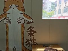 -豆逗聊愈猫阁Easy Life
