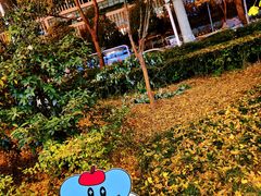 -成都银泰城