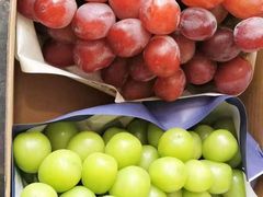 -马陆小张葡萄园农家乐