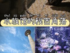 -太平洋海底世界