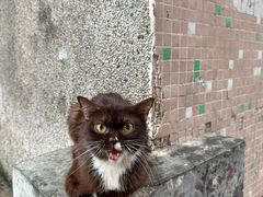 -东莞宠友24H宠物中心医院·转诊夜诊·异宠(新河北路院)