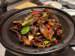 -云海肴·汽锅鸡·云南菜(高德置地店)