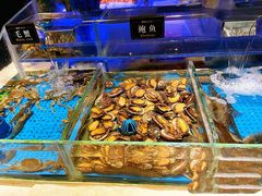 -加餐海鲜自助(宝龙一城店)