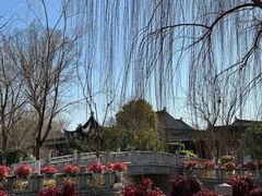 -东台西溪天仙缘景区