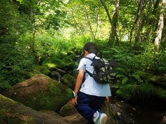 -五营红松林海景区