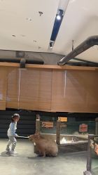 -造物庄园 萌宠纪(苏州湾歌林公园店)