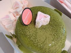 抹茶梳乎厘-狐狸和向日葵(北京路店)