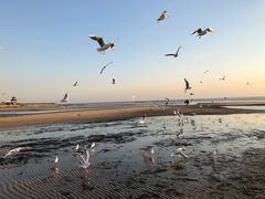 -老虎石海上公园