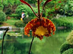 -云溪植物园