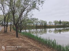 -野鸭湖国家湿地公园