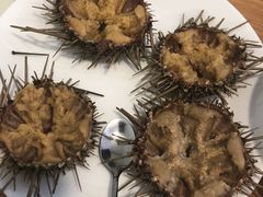 -海胆小馆(东北水饺·春柳店)