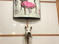 -多克多蒸气茶DOKDO(鼓楼绿地店)
