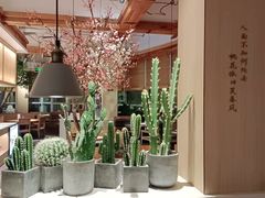 大堂-蜜桃餐厅·伴山(湖滨商业街店)