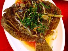 清蒸多宝鱼-金生美食(贵州路店)