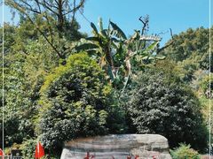 -忠山公园