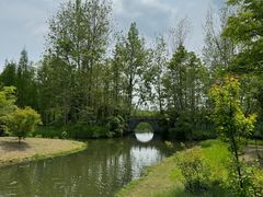 -溱湖国家湿地公园