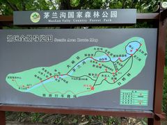 -茅兰沟国家森林公园