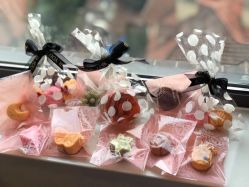 -海豚湾高端月子会所(黄浦店)