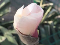 -清水湾桑拿SPA会馆(长安新城店)