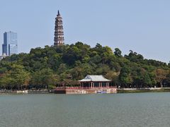 -顺峰山公园