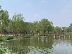 -东郊湿地公园
