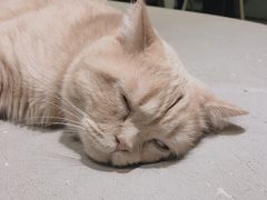 -小时光咖啡馆(开森度假森林店)