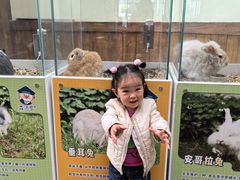 -杭州开元森泊度假乐园