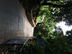 iphone_upload_pic-南丫岛